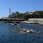 Pemandangan Pulau Ventotene di Lazio, Italia, Minggu (14/6/2020). Pulau Ventotene merupakan salah satu dari Kepulauan Pontine di Italia dan merupakan sisa-sisa dari sebuah gunung api purba. (Xinhua/Alberto Lingria)