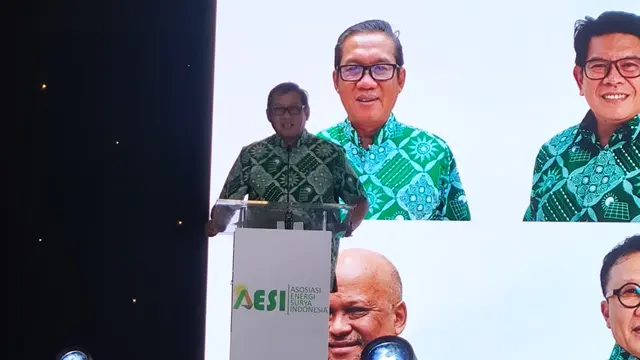Wiluyo Kusdwiharto, Ketua Dewan Pengawas Asosisasi Energi Surya Indonesia (AESI)