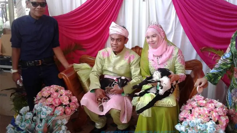 Pengantin Bersanding dengan 2 Dua Kambing di Resepsi Pernikahan