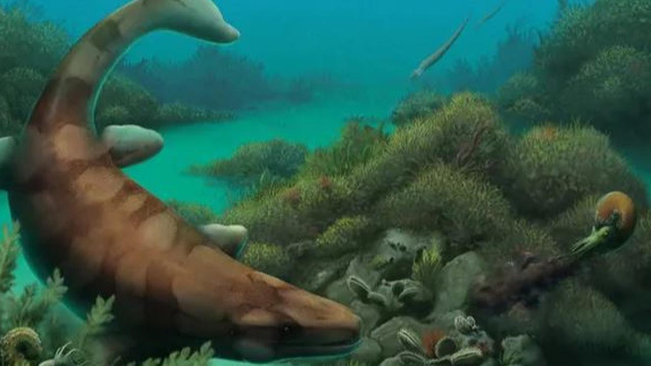 Pemburu Temukan Fosil Monster Laut Berusia 80 Juta Tahun, Panjangnya 6 Meter dan Deretan Giginya Bisa Hancurkan Cangkang