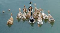 Ilustrasi bebek/https://unsplash.com/Jack&nbsp;Dong