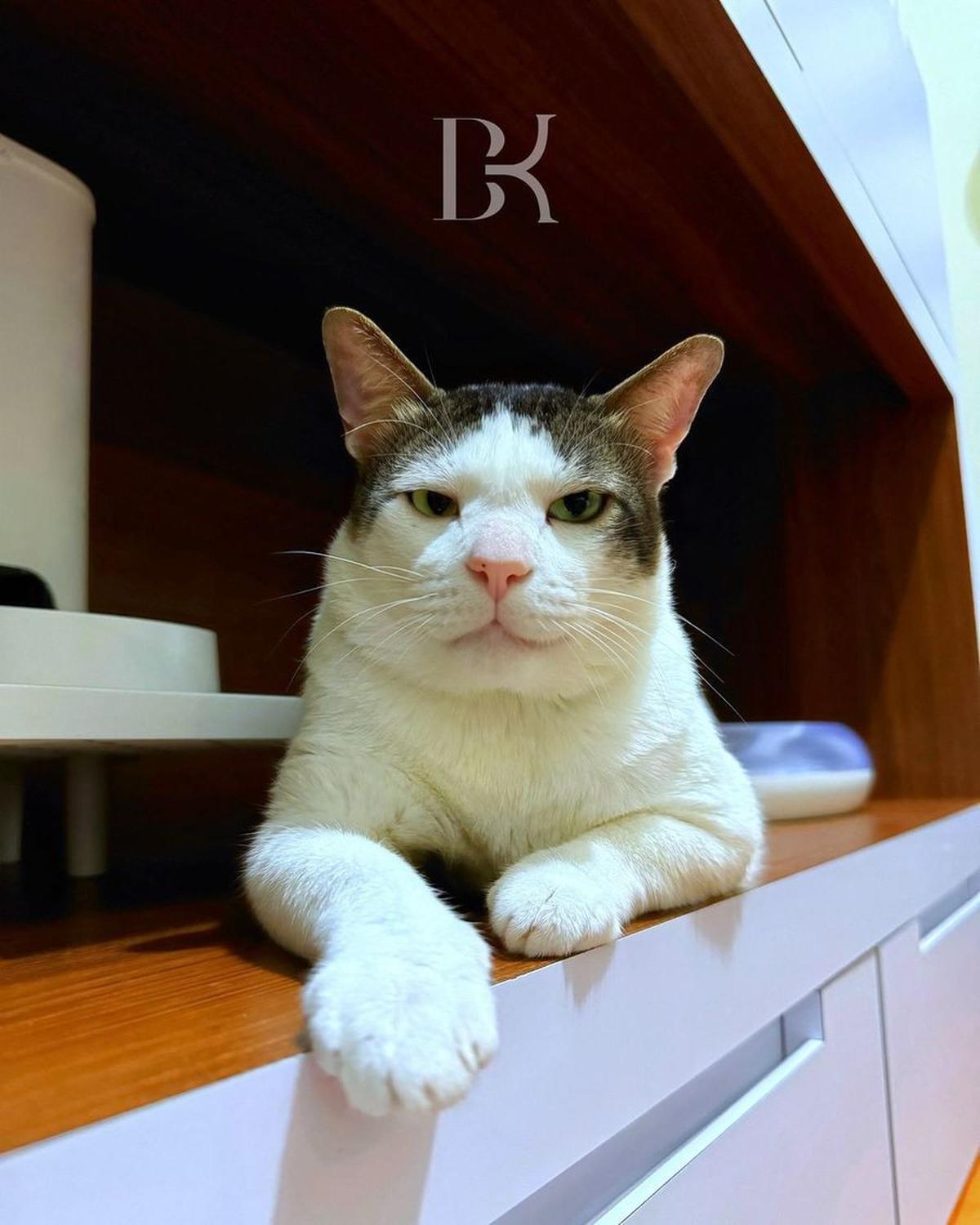 8 Potret Imut Bobby Kertanegara, Disebut Tuan Muda karena Punya Kamar Sendiri di Istana Negara