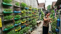7 Cara Membuat Taman Mini dari Botol Bekas, Solusi Kreatif untuk Lahan Sempit
