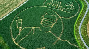 Foto udara pada 11 Juli 2021 menunjukkan labirin di ladang jagung membentuk gambar seseorang yang divaksinasi virus corona Covid-19, di Selm, Jerman. Labirin yang dibuat oleh Benedikt Luenemann itu akan dibuka untuk pengunjung mulai 16 Juli hingga Halloween pada akhir Oktober. (INA FASSBENDER/AFP)