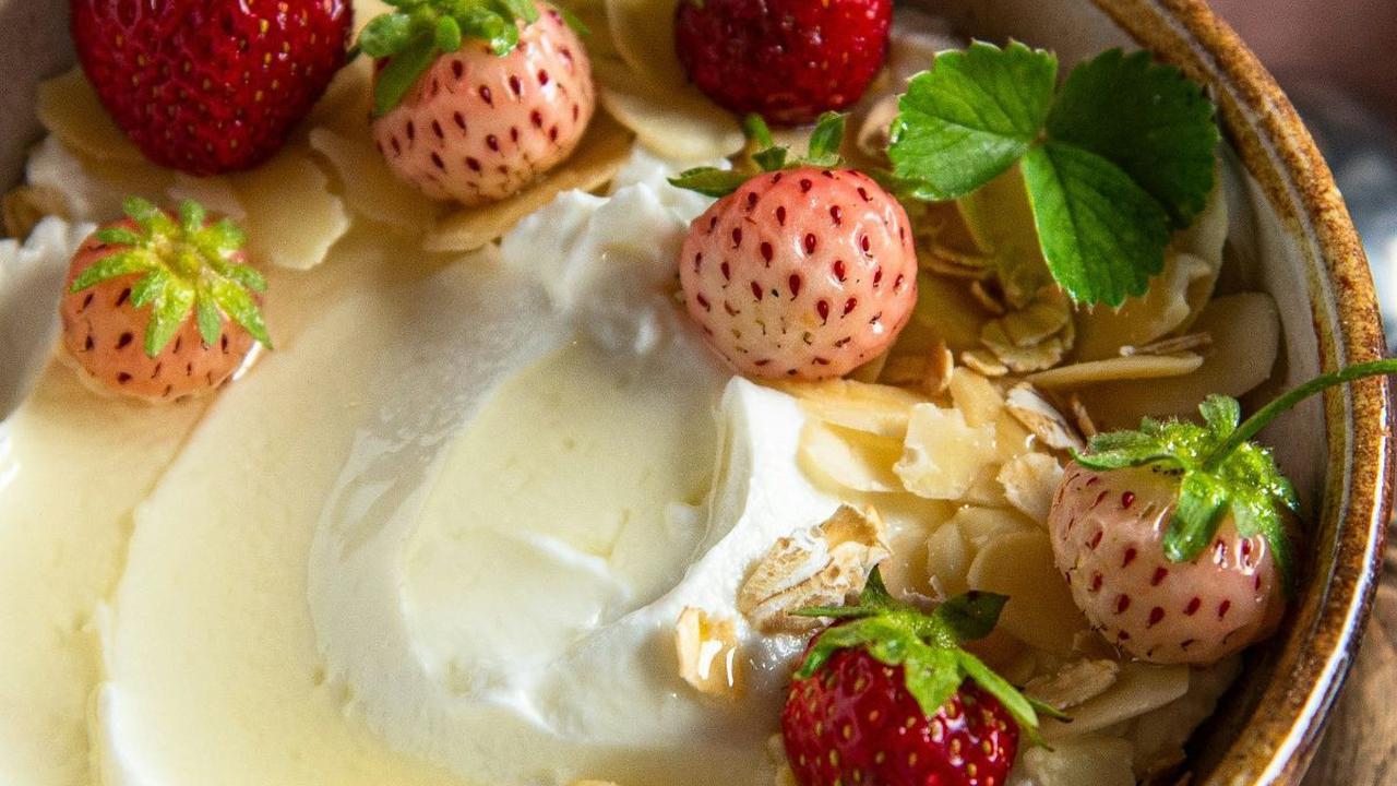 Proses Pembuatan Yogurt dan Aturan Pengemasannya, Perlu Diketahui
