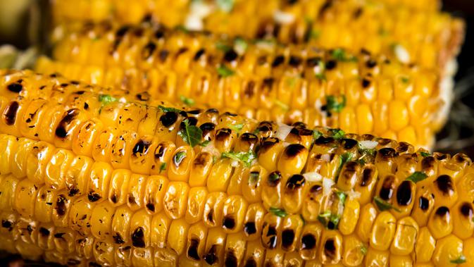 10 Spot Jagung Bakar Yogyakarta Terunik 2025: Sensasi Rasa Wajib Dicoba!