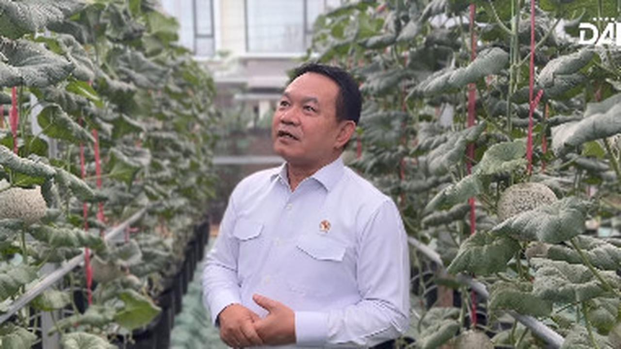 Potret Kebun Melon Jepang Milik Jenderal Dudung Abdurachman, Kalau Panen Cuannya Tak Kaleng-Kaleng