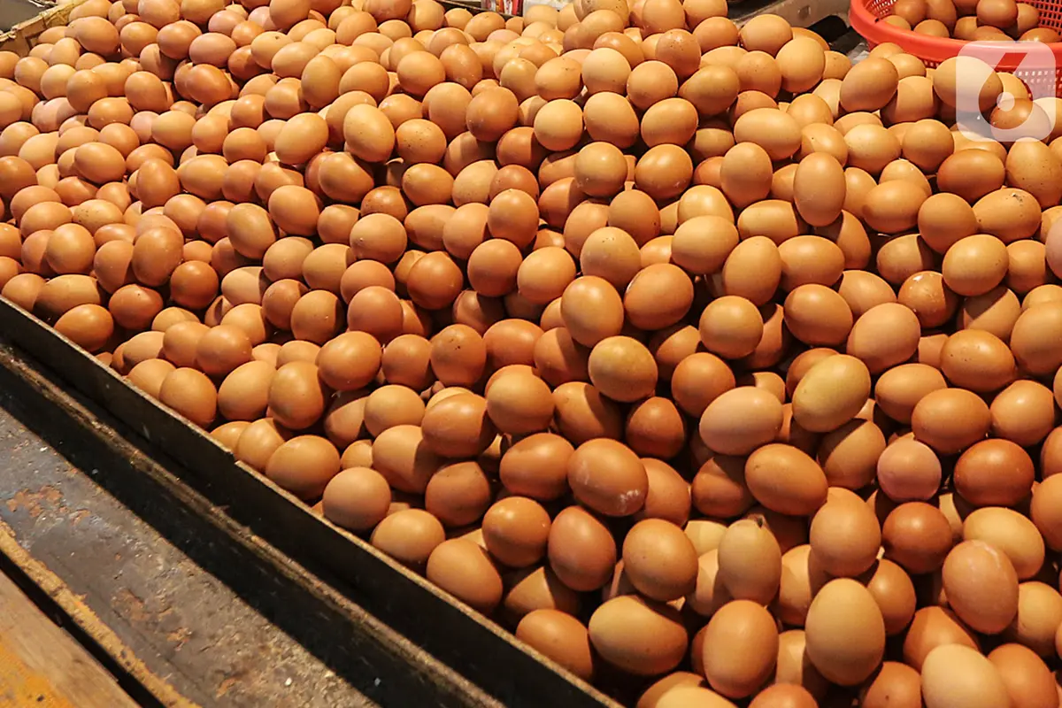 Harga telur ayam terus naik saat ini . (Liputan6.com/Johan Tallo)