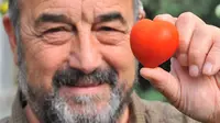 Tomat yang ditanam kakek berusia 69 tahun itu, berbentuk seperti lambang cinta atau menyerupai hati. Alami lho.. bukan bikinan.
