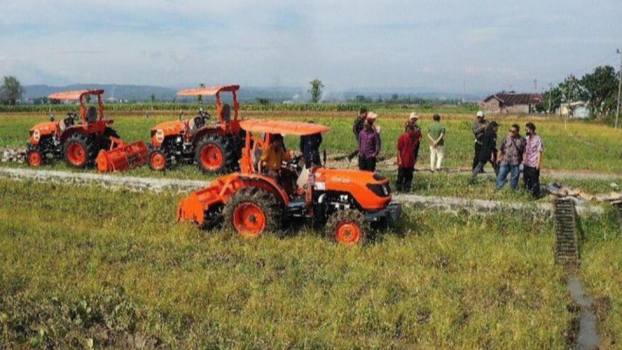 Tanda-Tanda Indonesia Semakin Dekat Swasembada Pangan