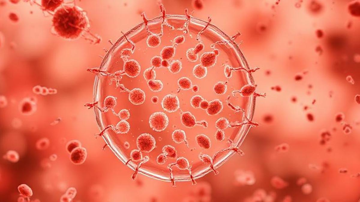 Bakteri Penyebab Gonore Jadi Superbug, Apa Artinya?