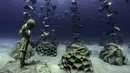 Pemandangan taman patung bawah laut MUSAM di Ayia Napa, Siprus, 18 September 2021. Menurut situs web museum, taman ini menjadi simbol untuk meningkatkan kisah Zona Perlindungan Laut yang baru dibuat Ayia Napa sambil mengakui praktik penggundulan hutan di masa lalu. (EMILY IRVING-SWIFT/AFP)