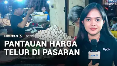 Harga telur anjlok akibatnya peternak ayam merugi. Di pagi hari ini, kita akan memantau harga telur ayam serta pasokannya di Pasar Palmerah.