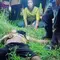 Kronologi Eks TNI Terlibat Penganiayaan Maut di Kebun Sawit