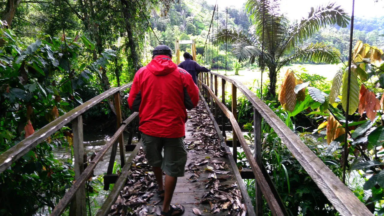 Hutan Adat Marena