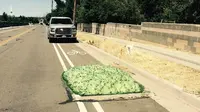 Penduduk di Bluffdale, Utah, dikejutkan dengan keluarnya benda mirip busa berwarna hijau (Facebook/Bluffdale City)