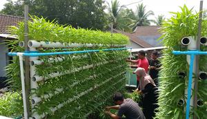 Desain Kebun Kangkung Vertikal/AI