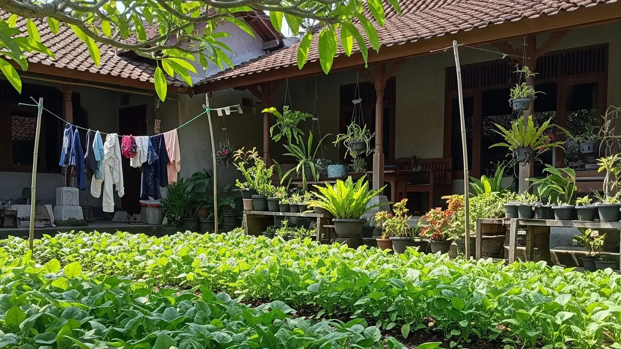 Jenis Sayur yang Mudah Tumbuh di Pekarangan Rumah