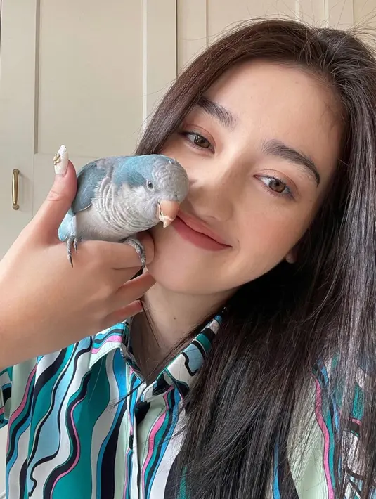 Lagi, Ranty Maria berpose bersama burung peliharaannya. Mengenakan kemeja bernuansa biru yang serasi dengan warna burung peliharaannya, Ranty memamerkan potret wajahnya yang ayu dengan riasan minimalis. Foto: Instagram.