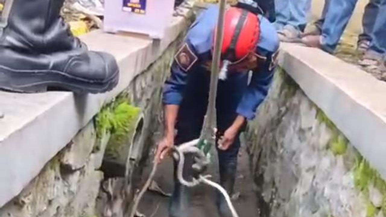 Ular sanca gegerkan warga Sukabumi.