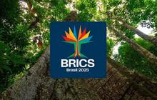 Indonesia Resmi Gabung BRICS, Begini Dampaknya pada Ekspor Tambang