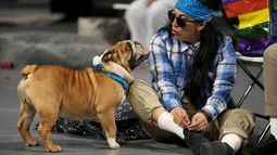 Kontes tersebut memulai perayaan Drake Relays di Drake University di mana maskotnya adalah bulldog. (AP Photo/Charlie Neibergall)
