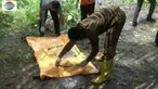 Jenazah wanita tanpa identitas pertama kali ditemukan oleh seorang karyawan perkebunan saat ia melakukan pengontrolan.