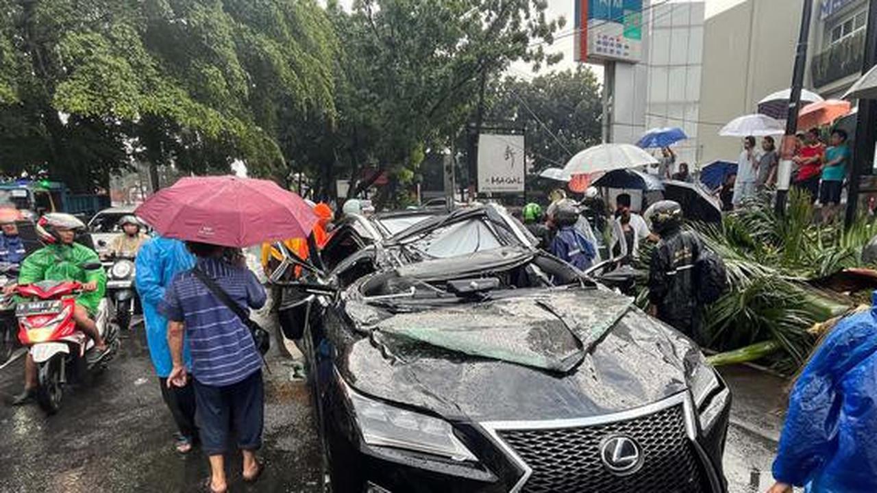 Pengemudi Lexus Mantan Bos PT Danareksa Harry Nugroho Tewas Tertimpa Pohon Tumbang di Pondok Indah, Polisi Tagih Ini ke Pengelola