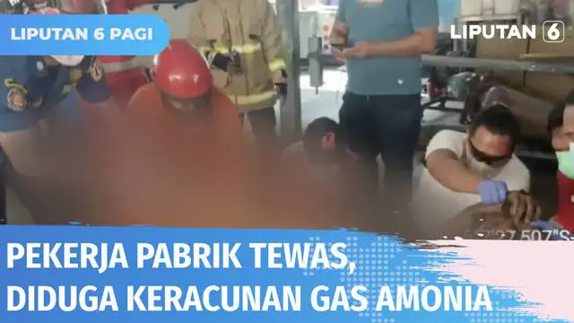 VIDEO: Pekerja Ditemukan Tewas di Pabrik, Diduga Keracunan Gas Amonia
