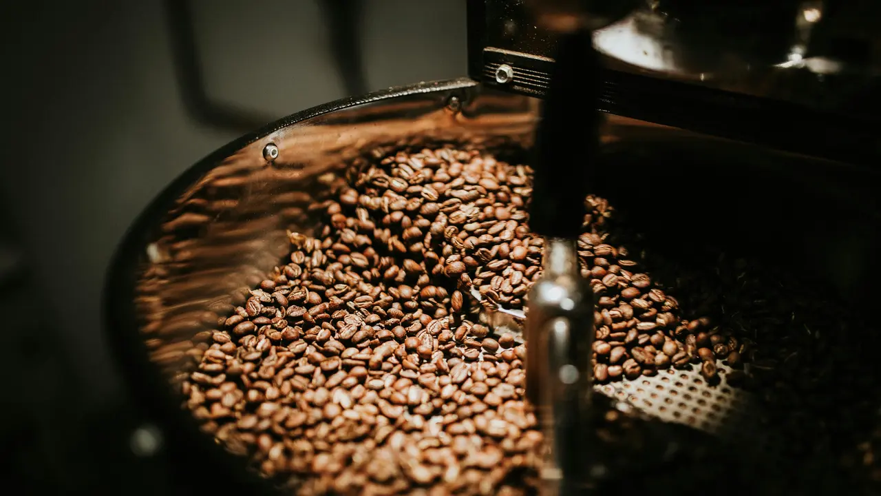 Biji Kopi yang Beragam