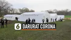THUMBNAIL CORONA