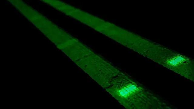 Markah Glow in The Dark