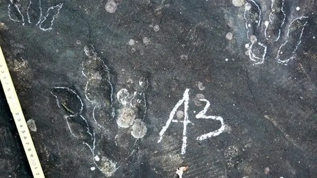 Tim ilmuwan menemukan jejak kaki theropoda di Provinsi Guizhou, China barat daya. (Xinhua)