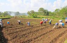 Cara Daftar Petani Milenial 2024, Siapkan Berkas-Berkas Penting Ini agar Diterima