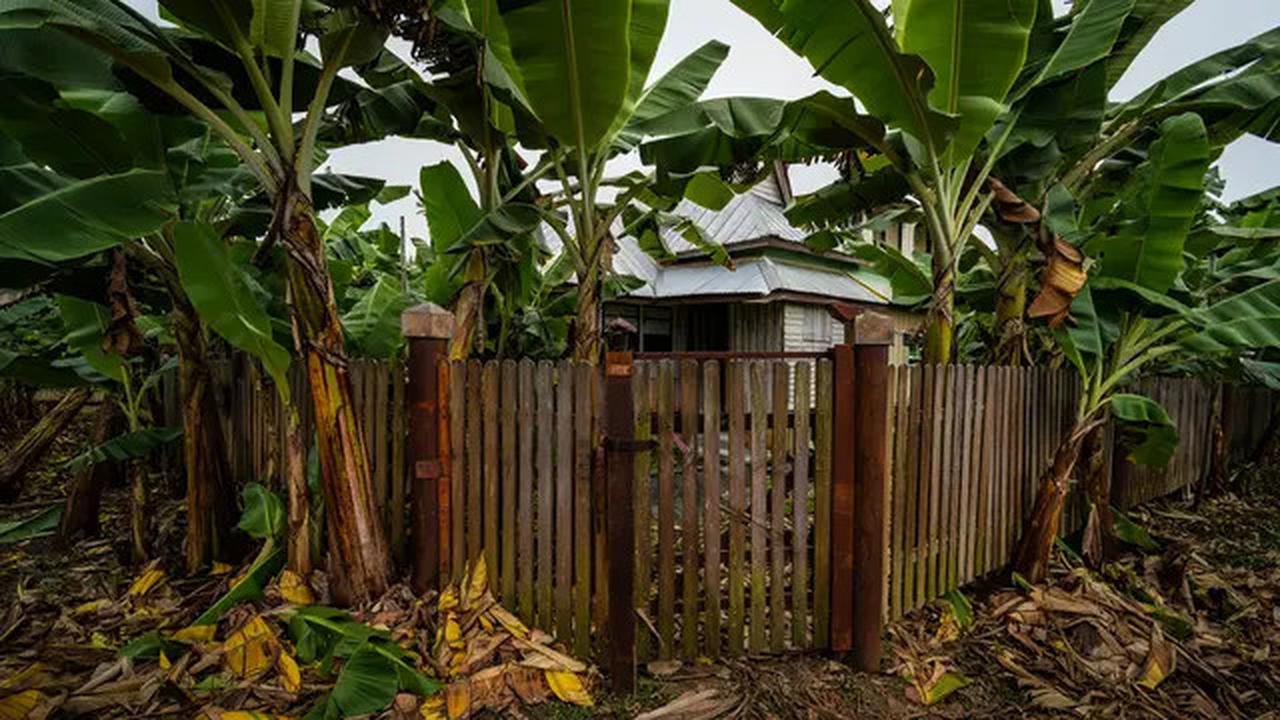7 Jenis Tanaman Pagar yang Bisa Mengundang Ular Kobra