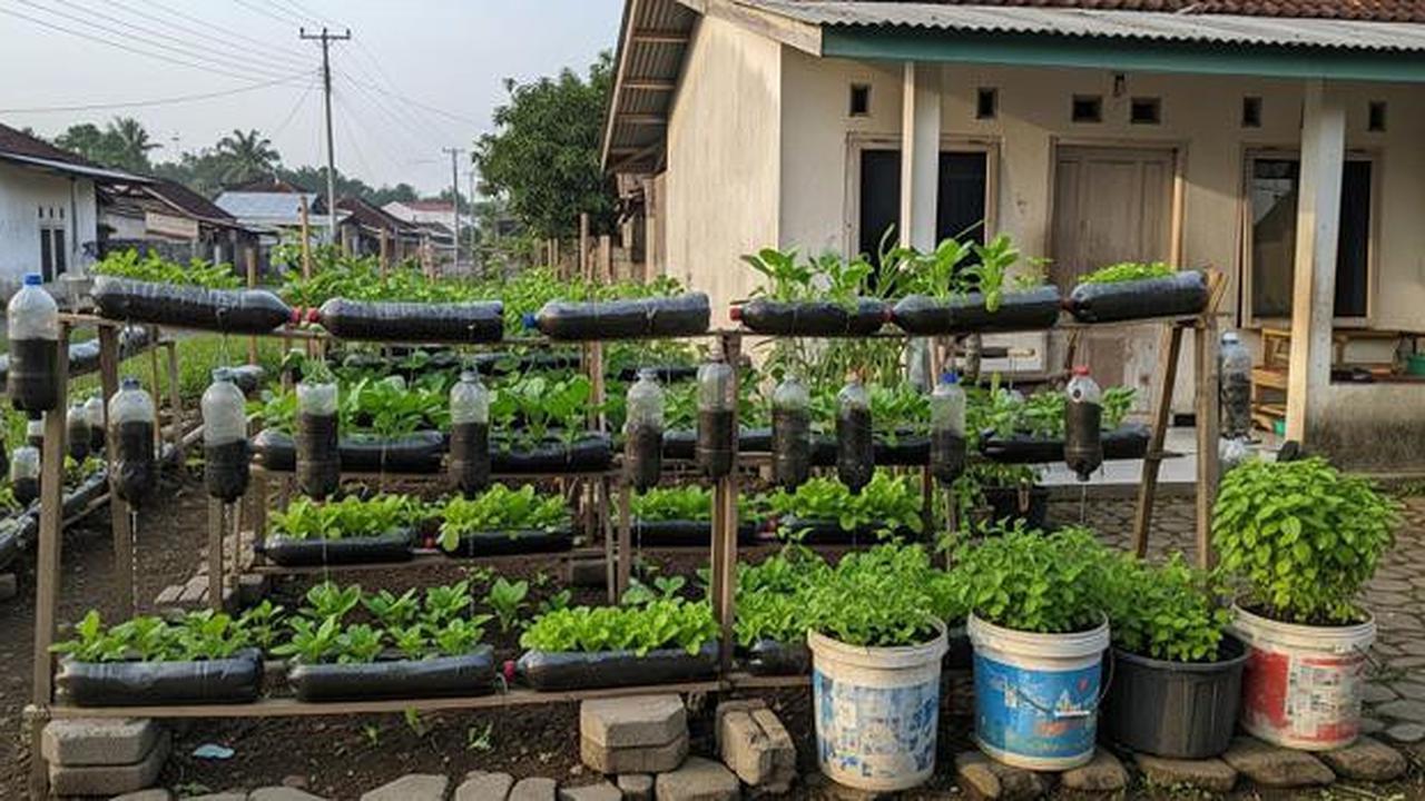 9 Cara Memanfaatkan Lahan Sempit untuk Kebun Mini Tanpa Risiko Keamanan bagi Keluarga