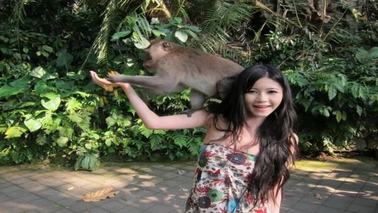 Rekor Monyet di Tahun Monyet