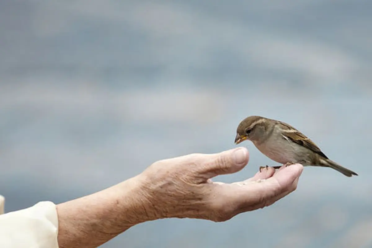 (c) shutterstock