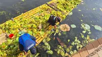 Bebas Eceng Gondok, Wisata Air di Kawasan Wisata Situ Bagendit Garut Kembali Bisa Dinikmati