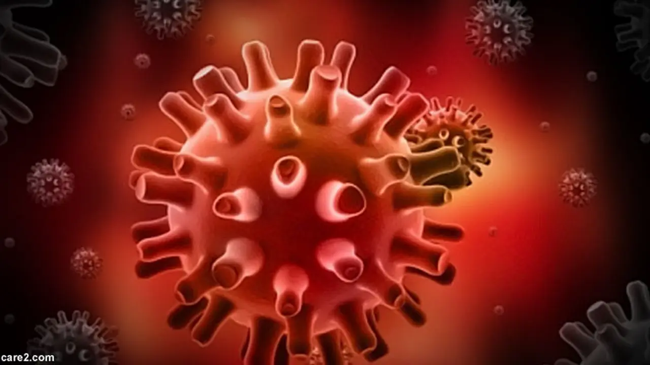 mitos-herpes130123b.jpg