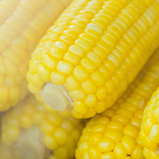 Berapa Lama Sebaiknya Merebus Jagung Agar Tidak Kehilangan Nutrisi Lifestyle Fimela Com