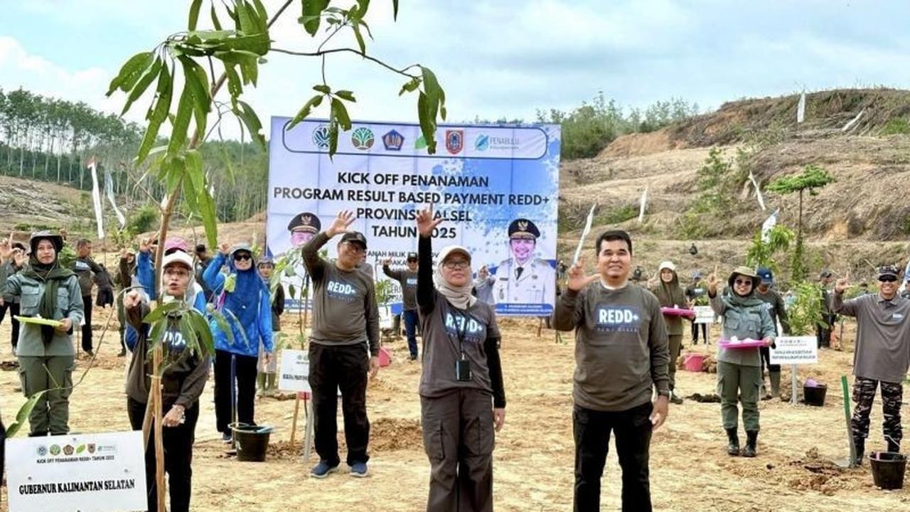 Kalsel Pulihkan Lahan Kritis 250 Hektare Melalui Program RBP REDD+ GCF