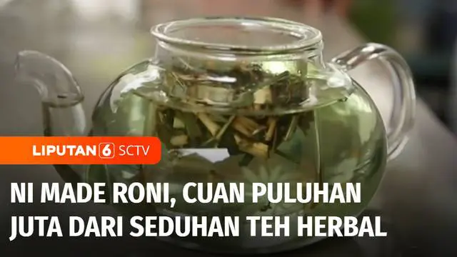 Dari bekerja di hotel selama 10 tahun, Ni Made Roni banting setir jadi petani. Bukan petani biasa, ia mengolah beragam tanaman jadi teh herbal. Pundi-pundi cuan pun dibaginya dengan menggerakkan warga sekitar dengan konsep kebun berdaya. Inilah Beran...