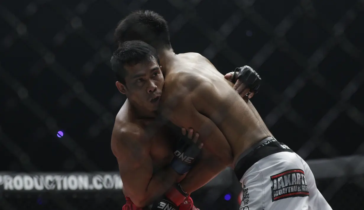 Petarung Indonesia, Stefer Rahardian, beradu kuat dengan petarung Filipina, Robin Catalan, saat bertarung pada laga ONE Championship di Istora Senayan, Jakarta, Sabtu (19/1). Stefer Rahardian kalah dari Robin Catalan. (Bola.com/M. Iqbal Ichsan)