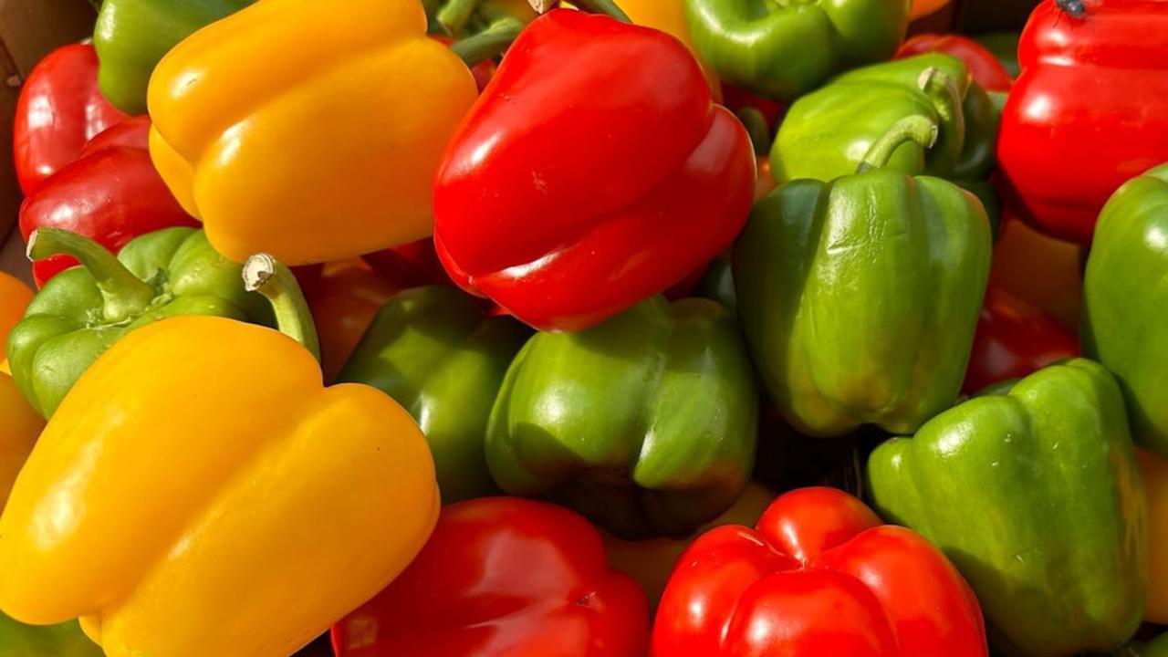 Paprika Matang atau Mentah, Mana yang Lebih Sehat? Ini Cara Menyantapnya dengan Aman dan Lezat
