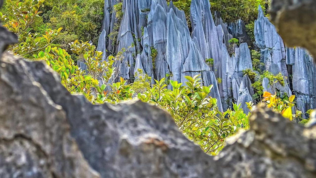 Gunung Mulu National Park, Malaysia