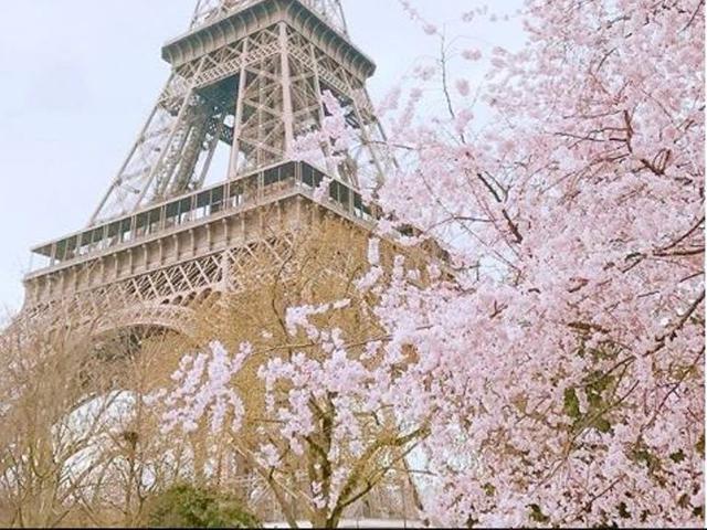 5 Kota Selain Di Jepang Yang Tawarkan Keindahan Sakura Mekar