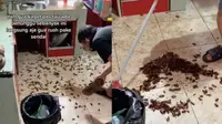 Viral Dapur Jadi Sarang Kecoak, Terungkap karena Semprot Cairan Pembasmi Serangga