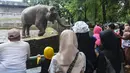 Pengunjung menyaksikan satwa di Kebun Binatang Ragunan, Jakarta, Selasa (1/4/2025). (merdeka.com/Arie Basuki)