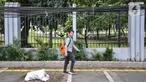 Pejalan kaki melintas di dekat kabel utilitas yang menjuntai di Jalan Proklamasi, Pegangsaan, Kecamatan Menteng, Jakarta Pusat, Kamis (6/10/2022). Minimnya pengawasan dalam tahap penyelesaian proyek revitalisasi trotoar oleh pihak terkait menyebabkan jaringan kabel utilitas di kawasan tersebut semrawut  yang dapat membahayakan keselamatan pengguna jalan, terutama saat musim penghujan. (merdeka.com/Iqbal S. Nugroho)